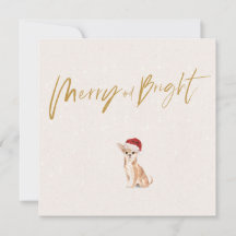 クリスマスホリデーチワフアドグレメリーーティング