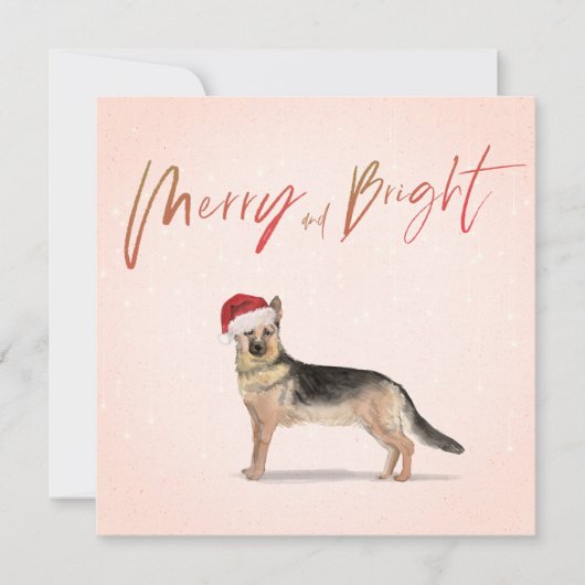 クリスマスホリデードッグドイツ羊飼い挨拶 (正面)