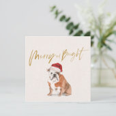 クリスマスホリデーブルドッグブライトメリーグリーティング (スタンド正面)