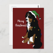クリスマスホリデーベルネーズマウンテンドッグ ポストカード (正面/裏面)