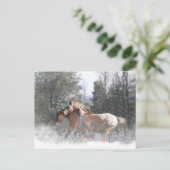 クリスマスホリデーホースポストカード シーズンポストカード (スタンド正面)