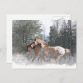 クリスマスホリデーホースポストカード シーズンポストカード (正面/裏面)