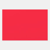 クリスマスホリデーレッドポインセティアフラワープリント ラッピングペーパーシート (正面3)