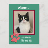 クリスマスホリデー新しい住所キャットポストカード ポストカード (正面)