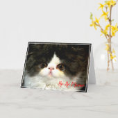 クリスマスホリデー白黒ふわふわ子猫 カード (黄色い花)