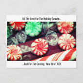 クリスマスホリデー フェスティブ キャンディーケーン&ハードキャンディ シーズンポストカード (正面)