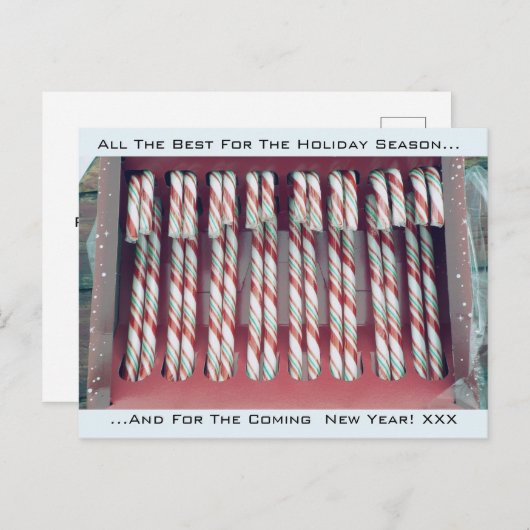 クリスマスホリデー フェスティブ ペッパーミント キャンディー ケーンズ シーズンポストカード (正面/裏面)