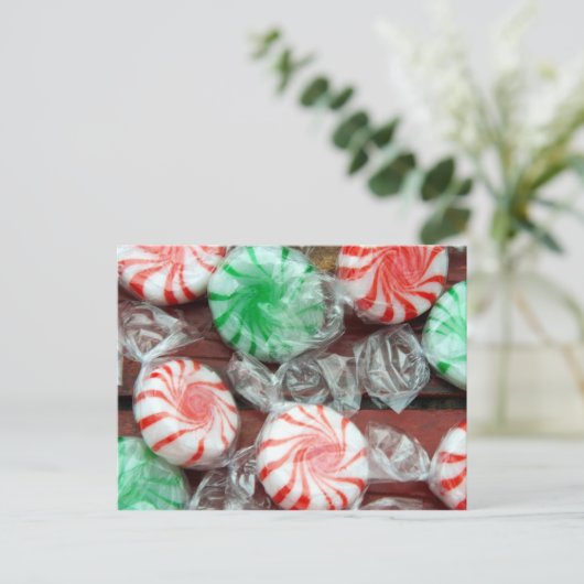 クリスマスホリデー フェスティブ ペッパーミント ハード キャンディー シーズンポストカード (スタンド正面)