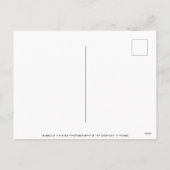 クリスマスホリデー フェスティブ ペッパーミント ハード キャンディー シーズンポストカード (裏面)