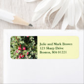 クリスマスホリー差出人住所ラベル ラベル (インサイチュ)