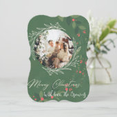 クリスマスホリー植物緑の写真海軍 (スタンド正面)