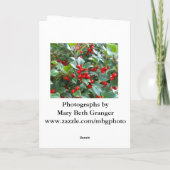 クリスマスホリー シーズンカード (裏面)