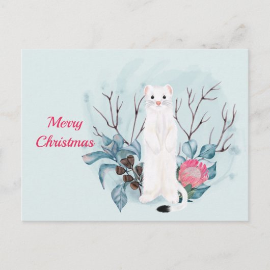 クリスマスホワイトエルミンピンクフローラ水色 シーズンポストカード (正面)