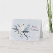 クリスマスホワイトフクロウ松の枝の水色 シーズンカード (正面)