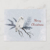 クリスマスホワイトフクロウ松の枝の水色 シーズンポストカード (正面)