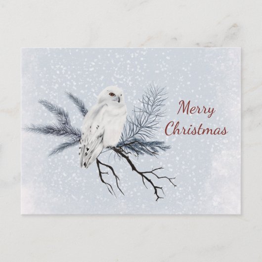 クリスマスホワイトフクロウ松の枝の水色 シーズンポストカード (正面)