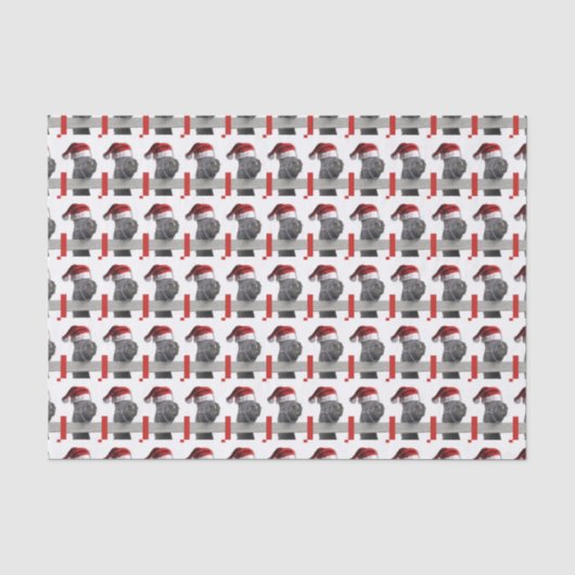 クリスマスホースサンタクロース 薄葉紙 (正面)