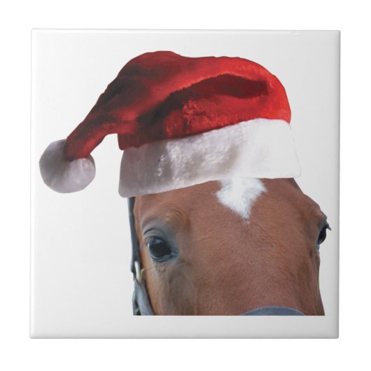 クリスマスホース タイル (正面)