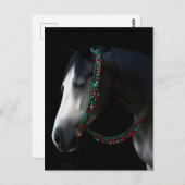 クリスマスホース ポストカード (正面/裏面)