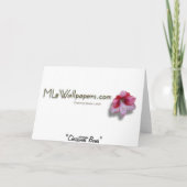 クリスマスボウズカラフルフェスティバルホリデイ シーズンカード (裏面)