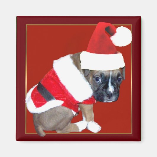 クリスマスボクサーの子犬の磁石 マグネット (正面)