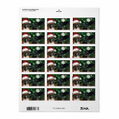 クリスマスボクサーの子犬 ラベル (フルシート)