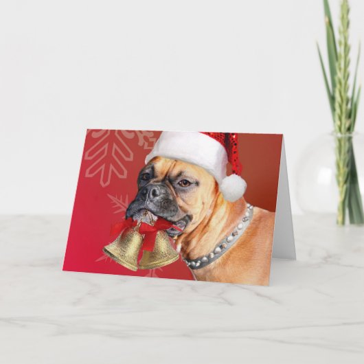 クリスマスボクサー犬 シーズンカード (正面)