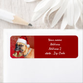 クリスマスボクサー犬 ラベル (インサイチュ)