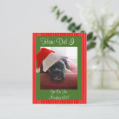 クリスマスボクサー シーズンポストカード (スタンド正面)