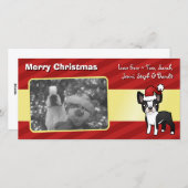 クリスマスボストンテリア シーズンカード (正面/裏面)