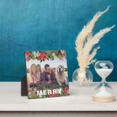 クリスマスボメリータニカルタイプ フォトプラーク (インサイチュ)