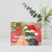クリスマスボールの背景のクリスマスキャット シーズンポストカード (スタンド正面)