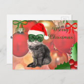 クリスマスボールの背景のクリスマスキャット シーズンポストカード (正面/裏面)