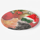 クリスマスボールの背景のクリスマスキャット ペーパープレート (アングル)