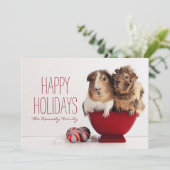 クリスマスボールを持つモルモット シーズンカード (スタンド正面)