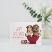 クリスマスボールを持つモルモット シーズンポストカード (スタンド正面)