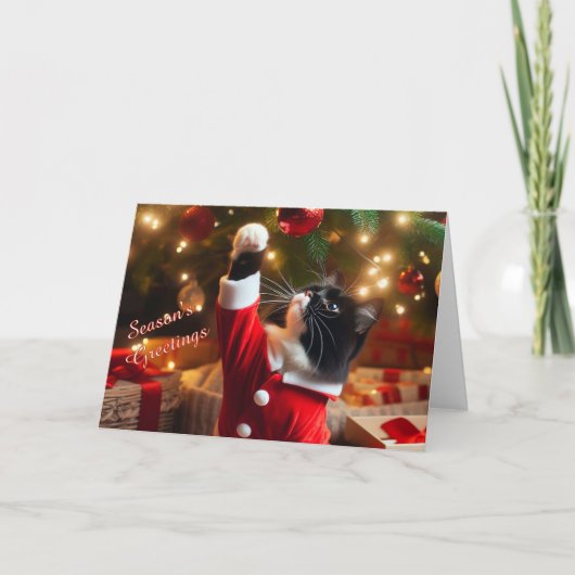 クリスマスボー遊ルをツリーカードに入れたタキシード猫 シーズンカード (正面)