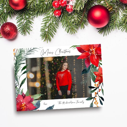 クリスマスポインセチアの写真