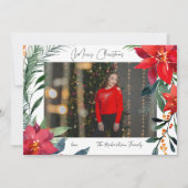 クリスマスポインセチアの写真 (正面)
