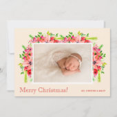 クリスマスポインセチア写真誕生のお知らせ シーズンカード (正面)