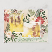 クリスマスポインセチア植物写真コラージュ シーズンポストカード (正面)