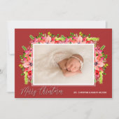 クリスマスポインセティアス写真 シーズンカード (正面)