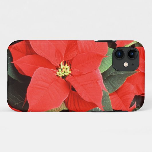 クリスマスポイントセッティアiPhone 5ケース Case-Mate iPhoneケース (裏面(横))