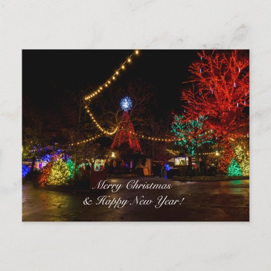 クリスマスポストカードに光を当てる ポストカード (正面)