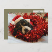 クリスマスポストカードバスセットハウンド シーズンポストカード (正面/裏面)