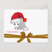 クリスマスポストカード北極オポッサム ポストカード (正面)