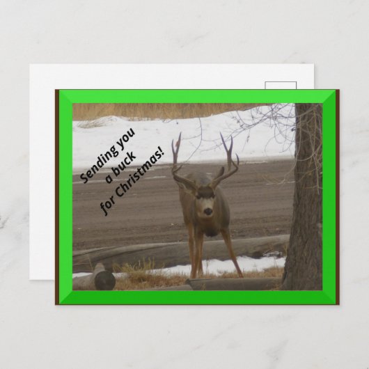 クリスマスポストカード用バック ポストカード (正面/裏面)