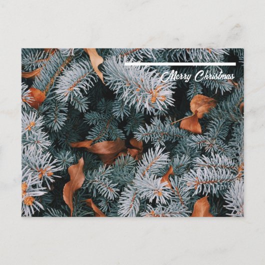 クリスマスポストカード ポストカード (正面)