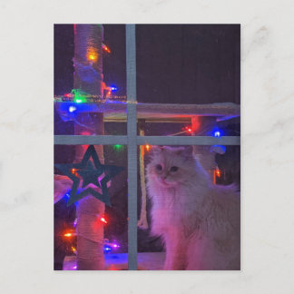 クリスマスポストカード ポストカード