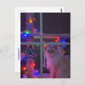 クリスマスポストカード ポストカード (正面/裏面)